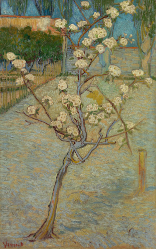 van gogh nl van gogh nl